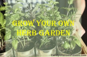 herb garden1