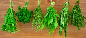 herbs